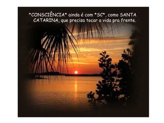 *CONSCIÊNCIA* ainda é com *SC*, como SANTA
CATARINA, que precisa tocar a vida pra frente.
 