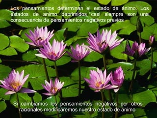Los pensamientos determinan el estado de ánimo. Los estados de animo deprimidos casi siempre son una consecuencia de pensamientos negativos previos Si cambiamos los pensamientos negativos por otros racionales modificaremos nuestro estado de ánimo 