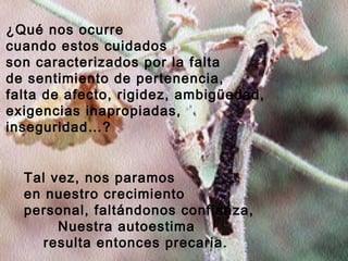 ¿Qué nos ocurre
cuando estos cuidados
son caracterizados por la falta
de sentimiento de pertenencia,
falta de afecto, rigidez, ambigüedad,
exigencias inapropiadas,
inseguridad…?
Tal vez, nos paramos
en nuestro crecimiento
personal, faltándonos confianza,
Nuestra autoestima
resulta entonces precaria.
 