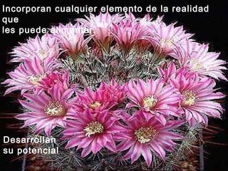 Incorporan cualquier elemento de la realidad
que
les puede alimentar.
Desarrollan
su potencial
 