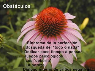 Obstáculos
Síndrome de la perfección
Búsqueda del “todo o nada”
Dedicar poco tiempo a pensar
Juegos psicológicos
Los “debería”
La pereza
Diálogo interno de crítica negativa
 