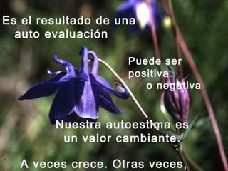 Nuestra autoestima es
un valor cambiante.
A veces crece. Otras veces,
Es el resultado de una
auto evaluación
Puede ser
positiva
o negativa
 