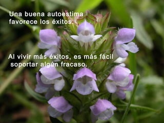 Una buena autoestima
favorece los éxitos.
Al vivir más éxitos, es más fácil
soportar algún fracaso.
 