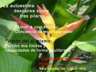 La autoestima
descansa sobre
tres pilares
*Amor a uno mismo:
Conciencia de mi propio valor
*Visión del sí mismo:
Percibo mis límites y
capacidades de forma equilibrada
*Confianza en uno
mismo:
Soy capaz de lograr mis
 