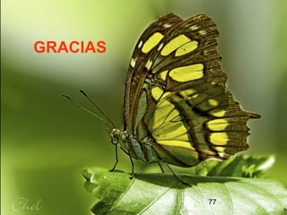 77
GRACIAS
 