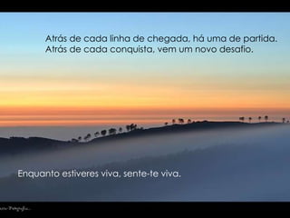Enquanto estiveres viva, sente-te viva. Atrás de cada linha de chegada, há uma de partida. Atrás de cada conquista, vem um novo desafio. 