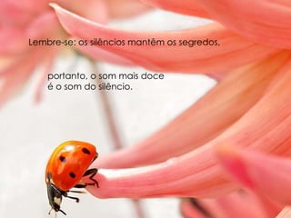 Lembre-se: os silêncios mantêm os segredos, portanto, o som mais doce  é o som do silêncio. 