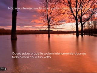 Quero saber o que te sustém interiormente quando tudo o mais cai à tua volta. Não me interessa onde ou o quê ou com quem estudaste. 