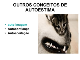 OUTROS CONCEITOS DE AUTOESTIMA auto-imagem  Autoconfiança Autoaceitação   