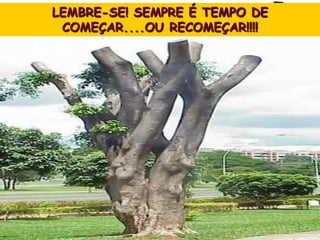 LEMBRE-SE! SEMPRE É TEMPO DE
COMEÇAR....OU RECOMEÇAR!!!!
 