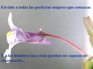 Envíalo a todas las perfectas mujeres que conozcas
Y a los hombres que creas puedan ser capaces de
reconocerlo...
 