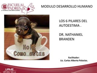 MODULO DESARROLLO HUMANO 
LOS 6 PILARES DEL 
AUTOESTIMA . 
DR. NATHANIEL 
BRANDEN 
Facilitador: 
Lic. Carlos Alberto Palacios. 
 