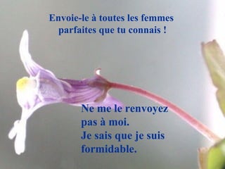 Envoie-le à toutes les femmes  parfaites que tu connais ! Ne me le renvoyez pas à moi.  Je sais que je suis formidable. 