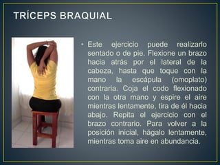 • Este ejercicio puede realizarlo
sentado o de pie. Flexione un brazo
hacia atrás por el lateral de la
cabeza, hasta que toque con la
mano la escápula (omoplato)
contraria. Coja el codo flexionado
con la otra mano y espire el aire
mientras lentamente, tira de él hacia
abajo. Repita el ejercicio con el
brazo contrario. Para volver a la
posición inicial, hágalo lentamente,
mientras toma aire en abundancia.
 
