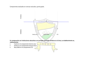 Autoevaluación Institución Educativa Buenos aires 2010