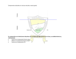 Autoevaluación Institución Educativa Buenos aires 2010