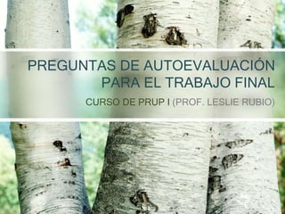 PREGUNTAS DE AUTOEVALUACIÓN 
PARA EL TRABAJO FINAL 
CURSO DE PRUP I (PROF. LESLIE RUBIO) 
 