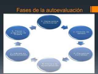 Fases de la autoevaluación
 