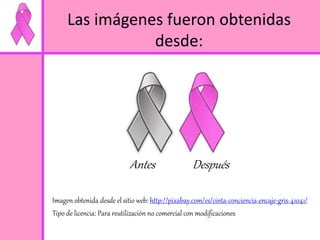 Las imágenes fueron obtenidas 
desde: 
Antes Después 
Imagen obtenida desde el sitio web: http://pixabay.com/es/cinta-conciencia-encaje-gris-41041/ 
Tipo de licencia: Para reutilización no comercial con modificaciones 
 
