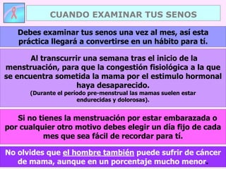 No olvides que el hombre también puede sufrir de cáncer
de mama, aunque en un porcentaje mucho menor.
Debes examinar tus senos una vez al mes, así esta
práctica llegará a convertirse en un hábito para tí.
Al transcurrir una semana tras el inicio de la
menstruación, para que la congestión fisiológica a la que
se encuentra sometida la mama por el estimulo hormonal
haya desaparecido.
(Durante el período pre-menstrual las mamas suelen estar
endurecidas y dolorosas).
Si no tienes la menstruación por estar embarazada o
por cualquier otro motivo debes elegir un día fijo de cada
mes que sea fácil de recordar para tí.
CUANDO EXAMINAR TUS SENOS
 