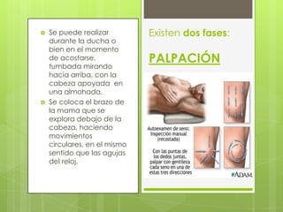    Se puede realizar         Existen dos fases:
    durante la ducha o
    bien en el momento
    de acostarse,             PALPACIÓN
    tumbada mirando
    hacia arriba, con la
    cabeza apoyada en
    una almohada.
   Se coloca el brazo de
    la mama que se
    explora debajo de la
    cabeza, haciendo
    movimientos
    circulares, en el mismo
    sentido que las agujas
    del reloj.
 