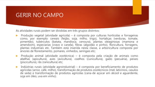 GERIR NO CAMPO
As atividades rurais podem ser divididas em três grupos distintos:
 Produção vegetal (atividade agrícola) – é composta por culturas hortícolas e forrageiras
como, por exemplo: cereais (feijão, soja, milho, trigo), hortaliças (verduras, tomate,
pimentão), tubérculos (batata, mandioca, cenoura), plantas oleaginosas (mamona e
amendoim), especiarias (cravo e canela), fibras (algodão e pinho), floricultura, forragens,
plantas industriais etc. Também está inserida nesta classe, a arboricultura composta por
árvores de florestamento, pomares, vinhedos, seringais etc;
 Produção animal (atividade zootécnica) – é composta pela criação de animais como
abelhas (apicultura), aves (avicultura), coelhos (cunicultura), gado (pecuária), peixes
(piscicultura), rãs (ranicultura) etc;
 Indústrias rurais (atividade agroindustrial) – é composta por beneficiamento de produtos
agrícolas (arroz, café, milho), transformação de produtos zootécnicos (mel, laticínios, casulos
de seda) e transformação de produtos agrícolas (cana-de açúcar em álcool e aguardente,
soja em óleo, uva em vinho).
 