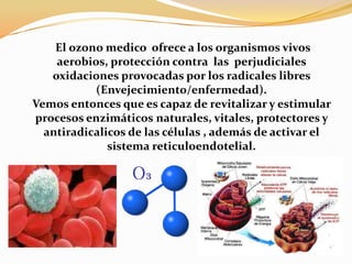 El ozono medico  ofrece a los organismos vivos aerobios, protección contra  las  perjudiciales oxidaciones provocadas por los radicales libres (Envejecimiento/enfermedad).Vemos entonces que es capaz de revitalizar y estimular procesos enzimáticos naturales, vitales, protectores y antiradicalicos de las células , además de activar el sistema reticuloendotelial.