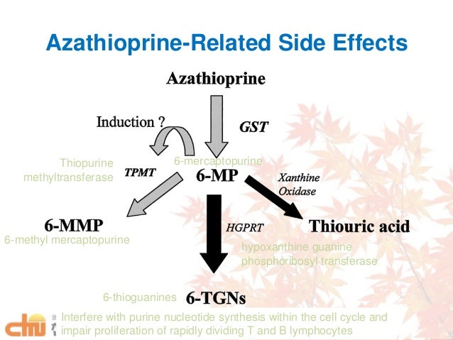 Side Effects Of Valtrex Suppressive Therapy