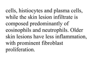 cells, histiocytes and plasma cells,
while the skin lesion infiltrate is
composed predominantly of
eosinophils and neutrophils. Older
skin lesions have less inflammation,
with prominent fibroblast
proliferation.
 