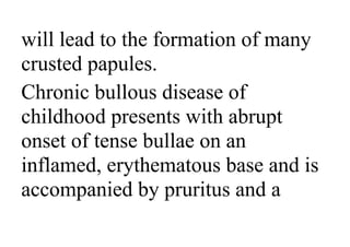 will lead to the formation of many
crusted papules.
Chronic bullous disease of
childhood presents with abrupt
onset of tense bullae on an
inflamed, erythematous base and is
accompanied by pruritus and a
 