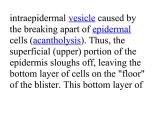 intraepidermal vesicle caused by
the breaking apart of epidermal
cells (acantholysis). Thus, the
superficial (upper) portion of the
epidermis sloughs off, leaving the
bottom layer of cells on the "floor"
of the blister. This bottom layer of
 