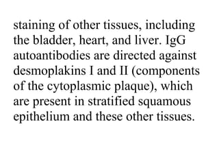 staining of other tissues, including
the bladder, heart, and liver. IgG
autoantibodies are directed against
desmoplakins I and II (components
of the cytoplasmic plaque), which
are present in stratified squamous
epithelium and these other tissues.
 