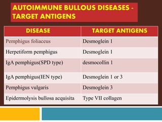 Autoimmune bullous lesions of skin | PPTX