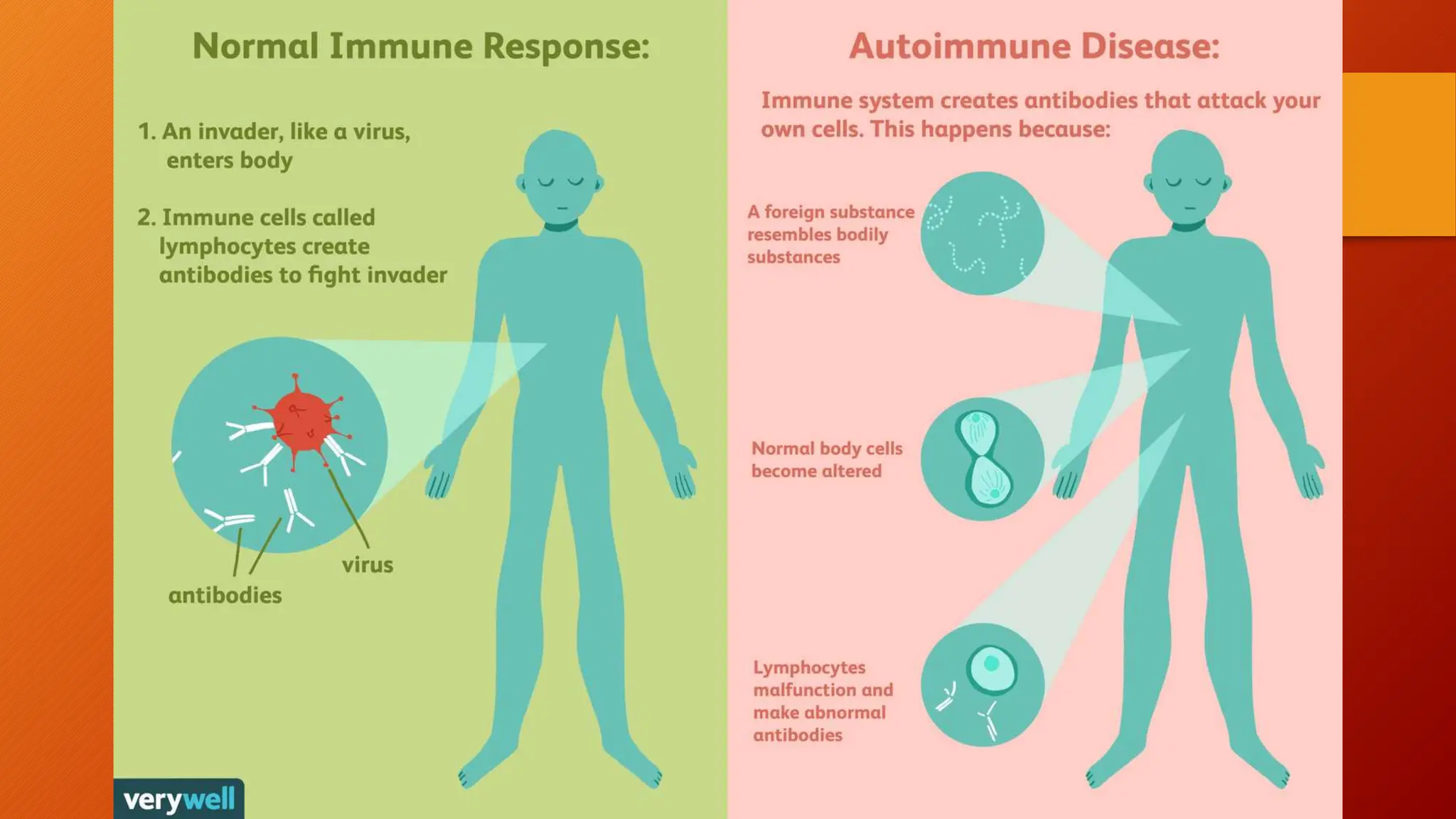 Auto Immune Diosorder are conditions in which your immune system ...
