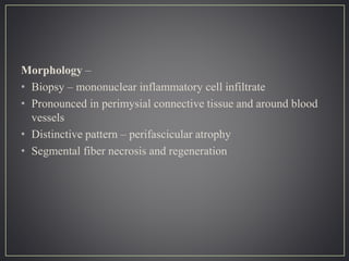 Morphology –
• Biopsy – mononuclear inflammatory cell infiltrate
• Pronounced in perimysial connective tissue and around blood
vessels
• Distinctive pattern – perifascicular atrophy
• Segmental fiber necrosis and regeneration
 