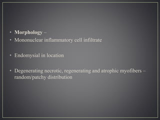 • Morphology –
• Mononuclear inflammatory cell infiltrate
• Endomysial in location
• Degenerating necrotic, regenerating and atrophic myofibers –
random/patchy distribution
 