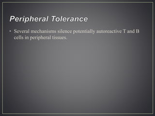 • Several mechanisms silence potentially autoreactive T and B
cells in peripheral tissues.
 