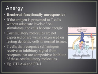 • Rendered functionally unresponsive
• If the antigen is presented to T cells
without adequate levels of co-
stimulators, the cells become anergic.
• Costimulatory molecules are not
expressed or are weakly expressed on
resting dendritic cells in normal tissues.
• T cells that recognize self antigens
receive an inhibitory signal from
receptors that are competitive inhibitor
of these costimulatory molecules.
• Eg. CTLA-4 and PD-1
 