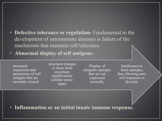 • Defective tolerance or regulation- Fundamental to the
development of autoimmune diseases is failure of the
mechanism that maintain self tolerance.
• Abnormal display of self antigens-
• Inflammation or an initial innate immune response.
Intolerance to
these epitopes,
thus allowing anti-
self responses to
develop.
Display of
antigenic epitopes
that are not
expressed
normally
structural changes
in these from
enzymatic
modification/
cellular stress/
injury
increased
expression and
persistence of self
antigens that are
normally cleared
 