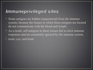 • Some antigens are hidden (sequestered) from the immune
system, because the tissues in which these antigens are located
do not communicate with the blood and lymph.
• As a result, self antigens in these tissues fail to elicit immune
responses and are essentially ignored by the immune system.
• testis, eye, and brain
 