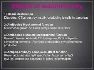 1) Tissue destruction
Diabetes: CTLs destroy insulin-producing b-cells in pancreas
2) Antibodies block normal function
Myasthenia gravis: Ab binds acetylcholine receptors
3) Antibodies stimulate inappropriate function
Graves’ disease: Ab binds TSH receptor-- Mimics thyroid-
stimulating hormone-- Activates unregulated thyroid hormone
production
4) Antigen-antibody complexes affect function
Rheumatoid arthritis: IgM specific for Fc portion of IgG
IgM-IgG complexes deposited in joints inflammation
Effects of autoimmunity
 
