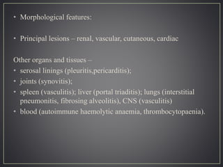 • Morphological features:
• Principal lesions – renal, vascular, cutaneous, cardiac
Other organs and tissues –
• serosal linings (pleuritis,pericarditis);
• joints (synovitis);
• spleen (vasculitis); liver (portal triaditis); lungs (interstitial
pneumonitis, fibrosing alveolitis), CNS (vasculitis)
• blood (autoimmune haemolytic anaemia, thrombocytopaenia).
 