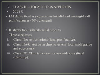 3. CLASS III – FOCAL LUPUS NEPHRITIS
• 20-35%
• LM shows focal or segmental endothelial and mesangial cell
proliferation in <50% glomeruli.
• IF shows focal subendothelial deposits.
Three subclasses:
i. Class IIIA: Active lesions (focal proliferative).
ii. Class IIIA/C: Active on chronic lesions (focal proliferative
and sclerosing).
iii. Class IIIC: Chronic inactive lesions with scars (focal
sclerosing).
 