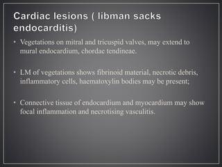 • Vegetations on mitral and tricuspid valves, may extend to
mural endocardium, chordae tendineae.
• LM of vegetations shows fibrinoid material, necrotic debris,
inflammatory cells, haematoxylin bodies may be present;
• Connective tissue of endocardium and myocardium may show
focal inflammation and necrotising vasculitis.
 