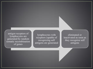 antigen receptors of
lymphocytes are
generated by random
somatic recombination
of genes
lymphocytes with
receptors capable of
recognizing self
antigens are generated
eliminated or
inactivated as soon as
they recognize self
antigens
 