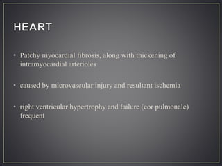 • Patchy myocardial fibrosis, along with thickening of
intramyocardial arterioles
• caused by microvascular injury and resultant ischemia
• right ventricular hypertrophy and failure (cor pulmonale)
frequent
 