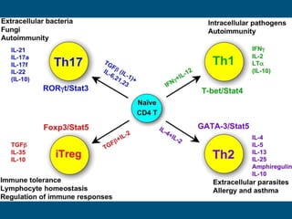 Autoimmune disease .Types diagnosis and treatment | PDF