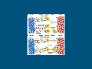 Autoimmune disease .Types diagnosis and treatment | PDF