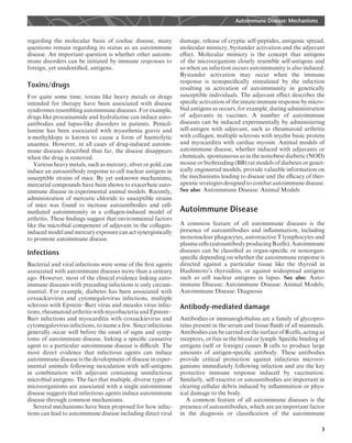 regarding the molecular basis of coeliac disease, many
questions remain regarding its status as an autoimmune
disease. An important question is whether other autoim-
mune disorders can be initiated by immune responses to
foreign, yet unidentiﬁed, antigens.
Toxins/drugs
For quite some time, toxins like heavy metals or drugs
intended for therapy have been associated with disease
syndromes resembling autoimmune diseases. For example,
drugs like procainamide and hydralazine can induce auto-
antibodies and lupus-like disorders in patients. Penicil-
lamine has been associated with myasthenia gravis and
a-methyldopa is known to cause a form of haemolytic
anaemia. However, in all cases of drug-induced autoim-
mune diseases described thus far, the disease disappears
when the drug is removed.
Various heavy metals, such as mercury, silver or gold, can
induce an autoantibody response to cell nuclear antigens in
susceptible strains of mice. By yet unknown mechanisms,
mercurial compounds have been shown to exacerbate auto-
immune disease in experimental animal models. Recently,
administration of mercuric chloride to susceptible strains
of mice was found to increase autoantibodies and cell-
mediated autoimmunity in a collagen-induced model of
arthritis. These ﬁndings suggest that environmental factors
like the microbial component of adjuvant in the collagen-
induced model and mercury exposure can act synergistically
to promote autoimmune disease.
Infections
Bacterial and viral infections were some of the ﬁrst agents
associated with autoimmune diseases more than a century
ago. However, most of the clinical evidence linking auto-
immune diseases with preceding infections is only circum-
stantial. For example, diabetes has been associated with
coxsackievirus and cytomegalovirus infections, multiple
sclerosis with Epstein–Barr virus and measles virus infec-
tions,rheumatoidarthritiswith mycobacteriaandEpstein–
Barr infections and myocarditis with coxsackievirus and
cytomegalovirus infections, to name a few. Since infections
generally occur well before the onset of signs and symp-
toms of autoimmune disease, linking a speciﬁc causative
agent to a particular autoimmune disease is diﬃcult. The
most direct evidence that infectious agents can induce
autoimmune disease is the development of disease in exper-
imental animals following inoculation with self-antigens
in combination with adjuvant containing uninfectious
microbial antigens. The fact that multiple, diverse types of
microorganisms are associated with a single autoimmune
disease suggests that infectious agents induce autoimmune
disease through common mechanisms.
Several mechanisms have been proposed for how infec-
tions can lead to autoimmune disease including direct viral
damage, release of cryptic self-peptides, antigenic spread,
molecular mimicry, bystander activation and the adjuvant
eﬀect. Molecular mimicry is the concept that antigens
of the microorganism closely resemble self-antigens and
so when an infection occurs autoimmunity is also induced.
Bystander activation may occur when the immune
response is nonspeciﬁcally stimulated by the infection
resulting in activation of autoimmunity in genetically
susceptible individuals. The adjuvant eﬀect describes the
speciﬁc activation of the innate immune response by micro-
bial antigens as occurs, for example, during administration
of adjuvants in vaccines. A number of autoimmune
diseases can be induced experimentally by administering
self-antigen with adjuvant, such as rheumatoid arthritis
with collagen, multiple sclerosis with myelin basic protein
and myocarditis with cardiac myosin. Animal models of
autoimmune disease, whether induced with adjuvants or
chemicals, spontaneous as in the nonobese diabetic (NOD)
mouse or biobreeding (BB) rat models of diabetes or genet-
ically engineered models, provide valuable information on
the mechanisms leading to disease and the eﬃcacy of ther-
apeutic strategies designed to combat autoimmune disease.
See also: Autoimmune Disease: Animal Models
Autoimmune Disease
A common feature of all autoimmune diseases is the
presence of autoantibodies and inﬂammation, including
mononuclear phagocytes, autoreactive T lymphocytes and
plasmacells(autoantibodyproducingBcells).Autoimmune
diseases can be classiﬁed as organ-speciﬁc or nonorgan-
speciﬁc depending on whether the autoimmune response is
directed against a particular tissue like the thyroid in
Hashimoto’s thyroiditis, or against widespread antigens
such as cell nuclear antigens in lupus. See also: Auto-
immune Disease; Autoimmune Disease: Animal Models;
Autoimmune Disease: Diagnosis
Antibody-mediated damage
Antibodies or immunoglobulins are a family of glycopro-
teins present in the serum and tissue ﬂuids of all mammals.
Antibodies can be carried on the surface of B cells, acting as
receptors, or free in the blood or lymph. Speciﬁc binding of
antigens (self or foreign) causes B cells to produce large
amounts of antigen-speciﬁc antibody. These antibodies
provide critical protection against infectious microor-
ganisms immediately following infection and are the key
protective immune response induced by vaccination.
Similarly, self-reactive or autoantibodies are important in
clearing cellular debris induced by inﬂammation or phys-
ical damage to the body.
A common feature of all autoimmune diseases is the
presence of autoantibodies, which are an important factor
in the diagnosis or classiﬁcation of the autoimmune
Autoimmune Disease: Mechanisms
3
 