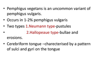 • Pemphigus vegetans is an uncommon variant of
pemphigus vulgaris.
• Occurs in 1-2% pemphigus vulgaris
• Two types 1.Neumann type-pustules
• 2.Hallopeaue type-bullae and
erosions.
• Cerebriform tongue –charecterised by a pattern
of sulci and gyri on the tongue
 